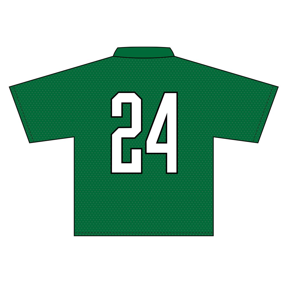Roots Picnic 24 Green Mesh Jersey